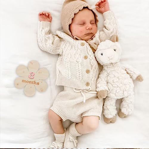 Baby Monthly Milestone Cards (Wooden)