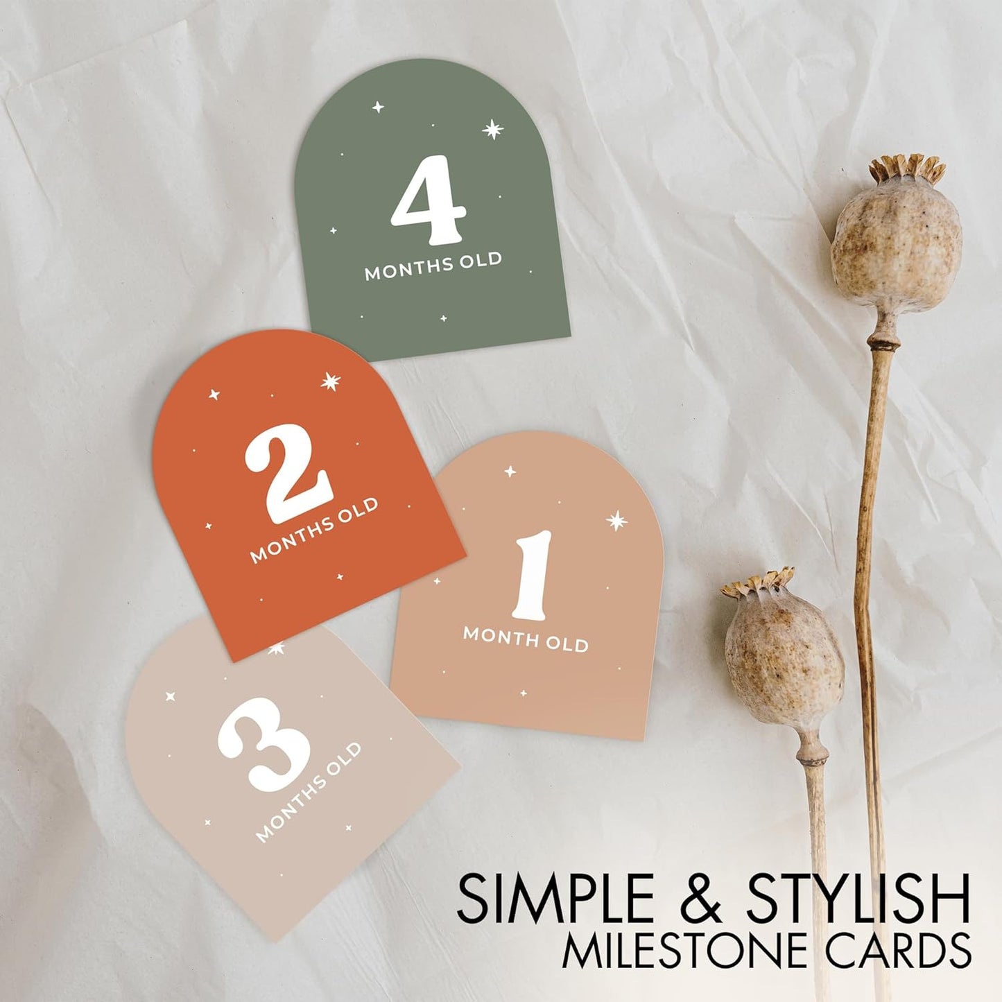 Beautiful Baby Monthly Milestone Cards - 15 Reversible Paper Cards