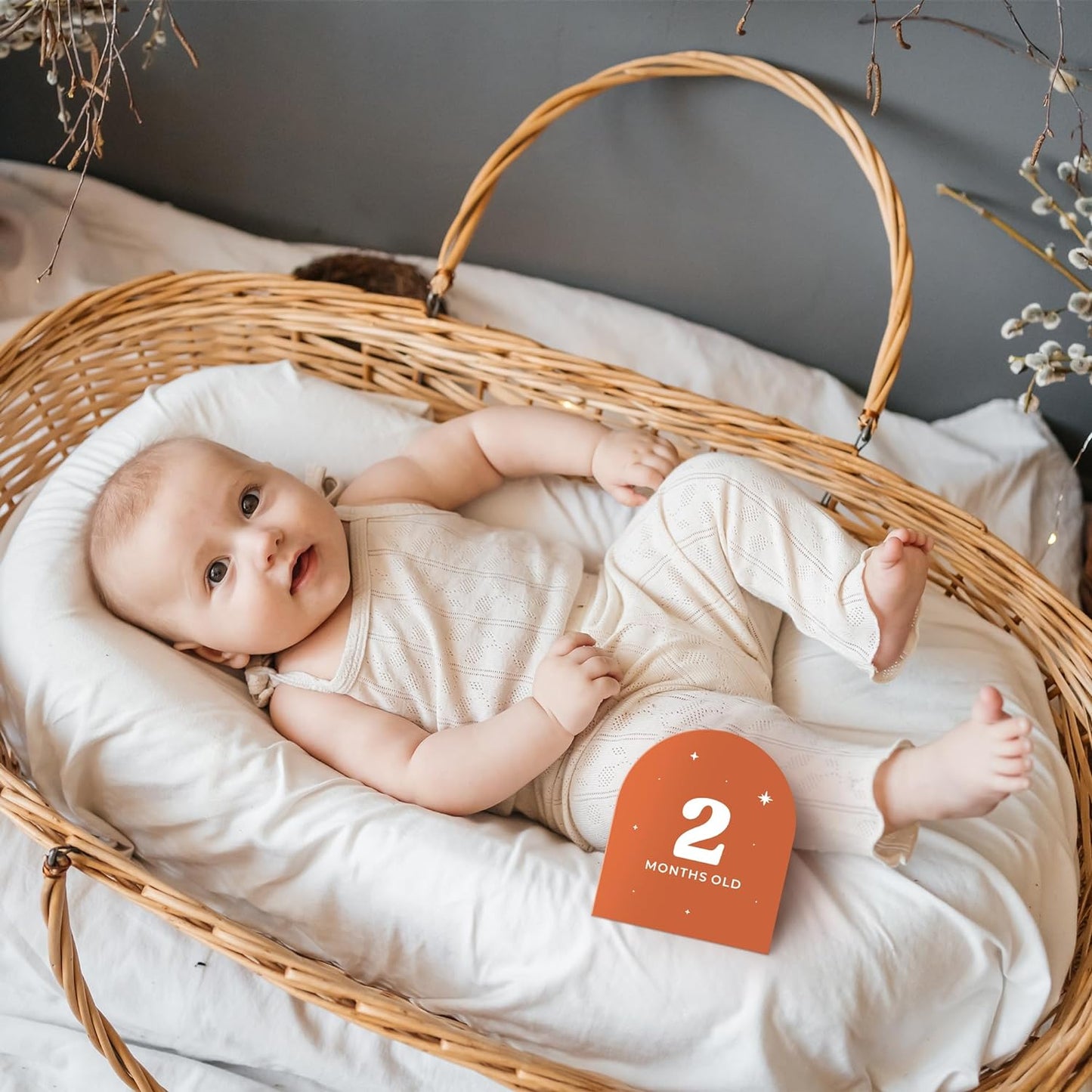 Beautiful Baby Monthly Milestone Cards - 15 Reversible Paper Cards