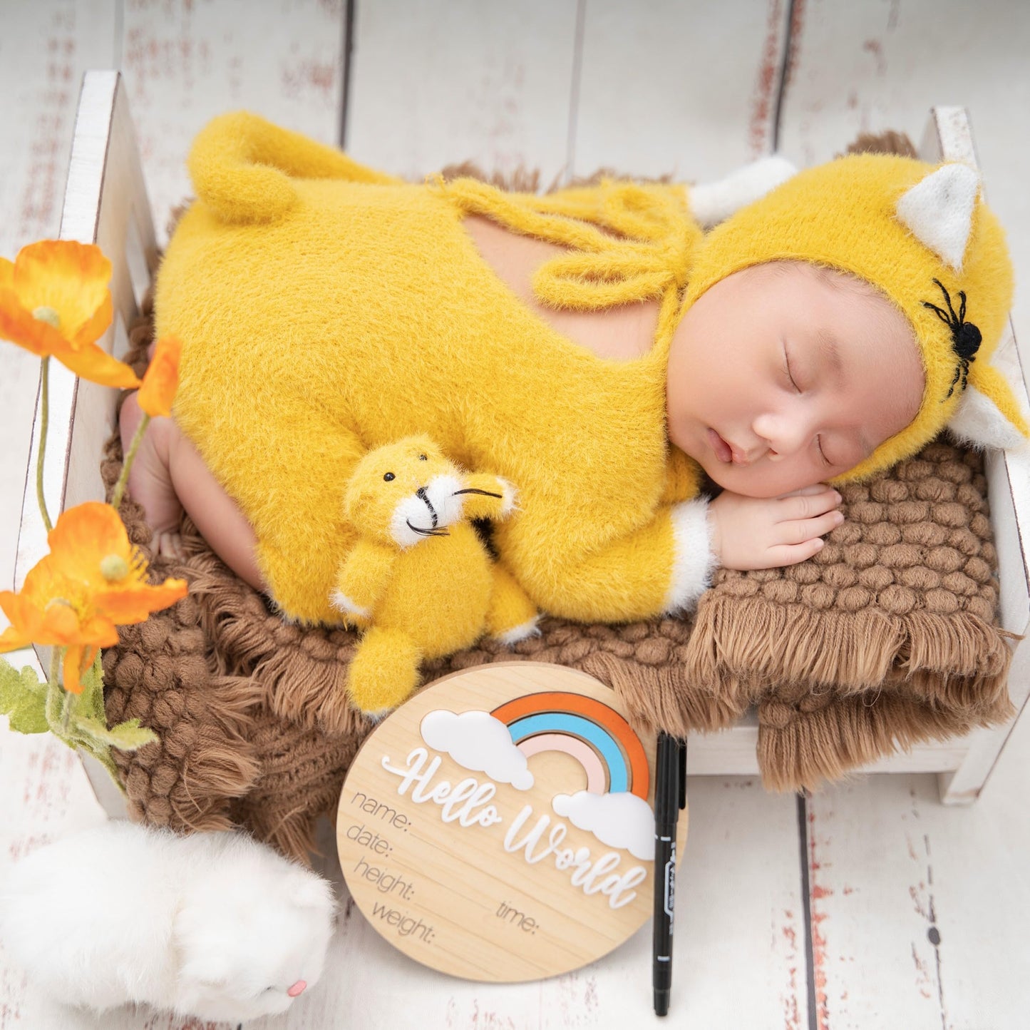 Baby Monthly Milestone Cards (Wooden)