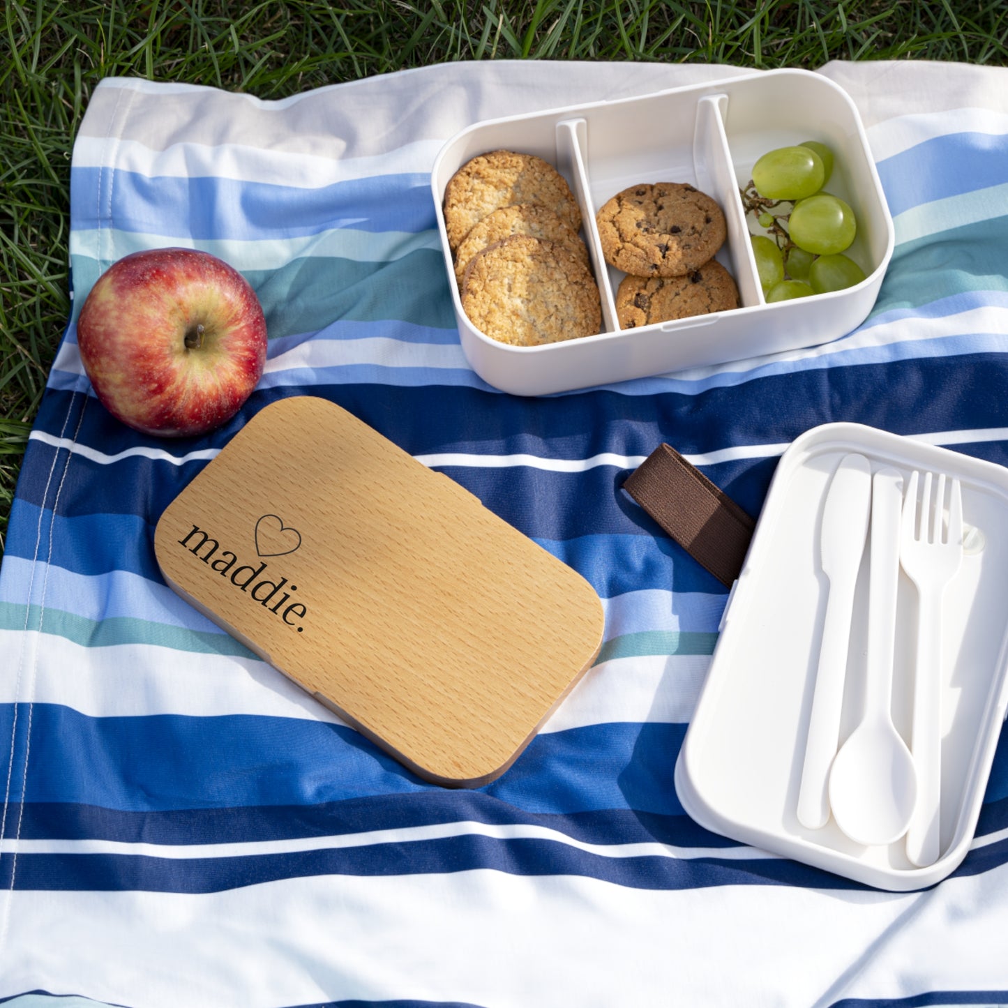 Kid's (or Adult) Bento Lunch Box